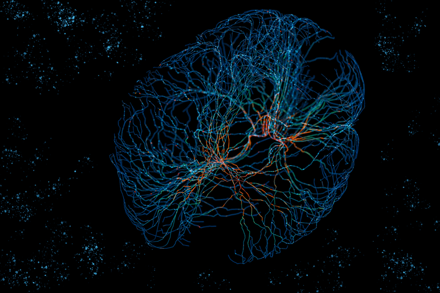 MIT Neural Networks visualization
